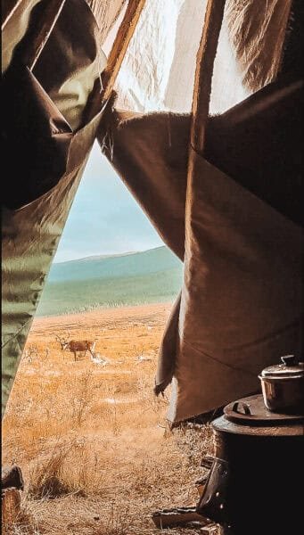 View from inside a traditional Mongolian tent overlooking grassy plains, mountains, and a grazing reindeer.