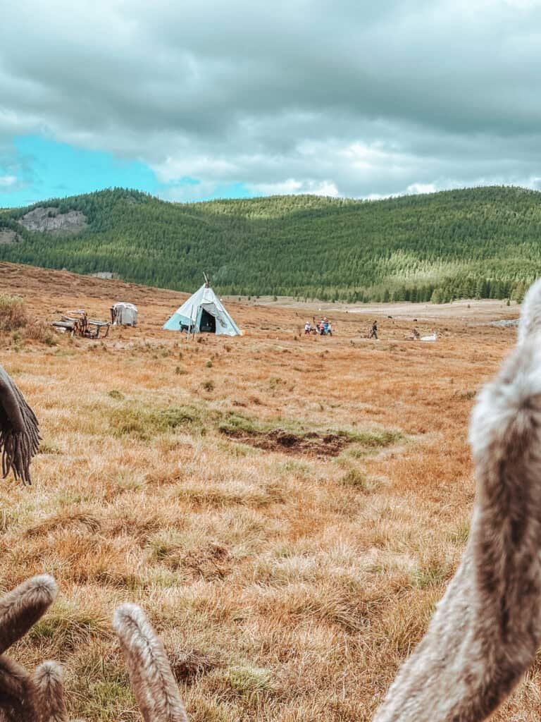 Tsaatan reindeer herders’ camp with reindeer antlers and a traditional yurt in the Mongolian Taiga