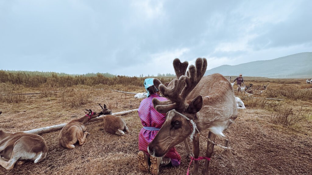 Mongolia tour operator nomadic adventure tour